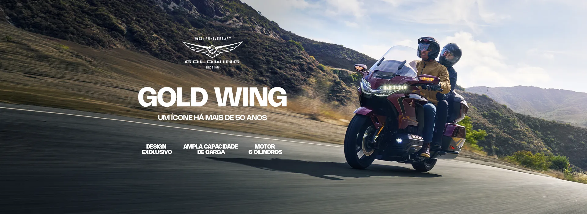 Banner desktop - Goldwing