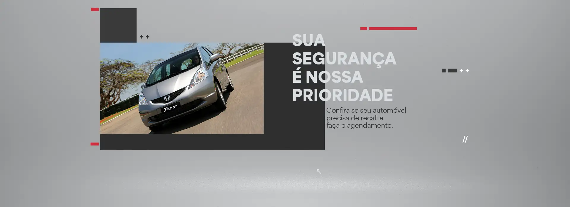 Honda Elements - Banner Recall Fit